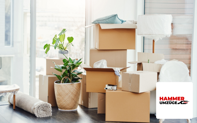 Hammer Umzüge Kartons Umzug Image